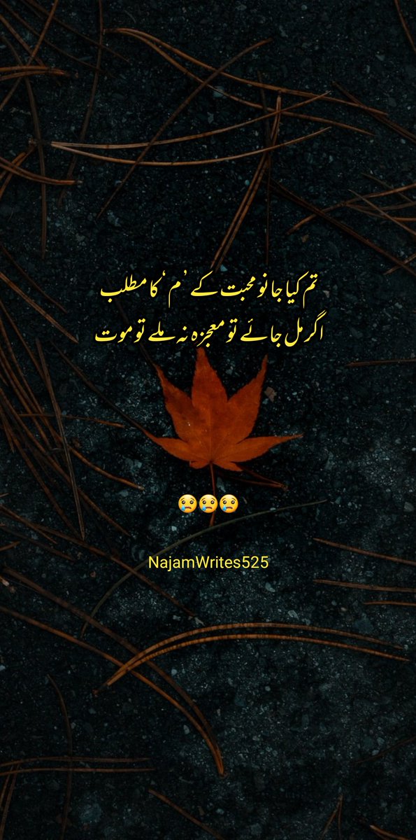 -
تم کیا جانو محبت کے ’ م ‘ کا مطلب
اگر مل جائے تو معجزہ نہ ملے تو موت
-
#karachi #Urdu #poetry