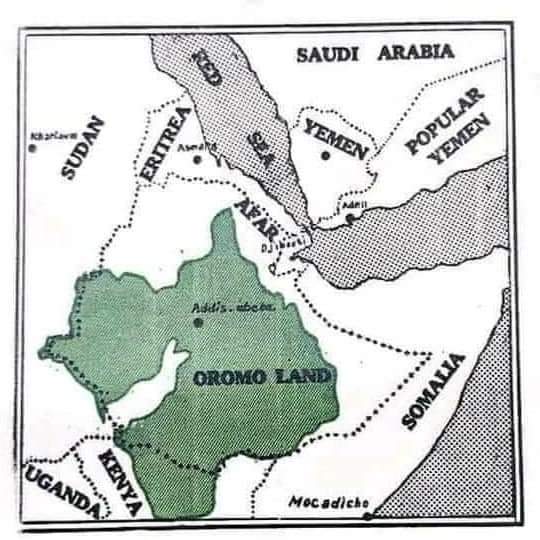 AniAbrham's tweet photo. The fascism in Ethiopia ! https://t.co/KixkMrExe4