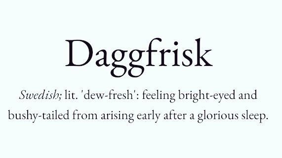 arealmofwonder's tweet photo. The Word of the Day 🌿

Choose your champion. 

A B
C D https://t.co/54AVF1zGLr