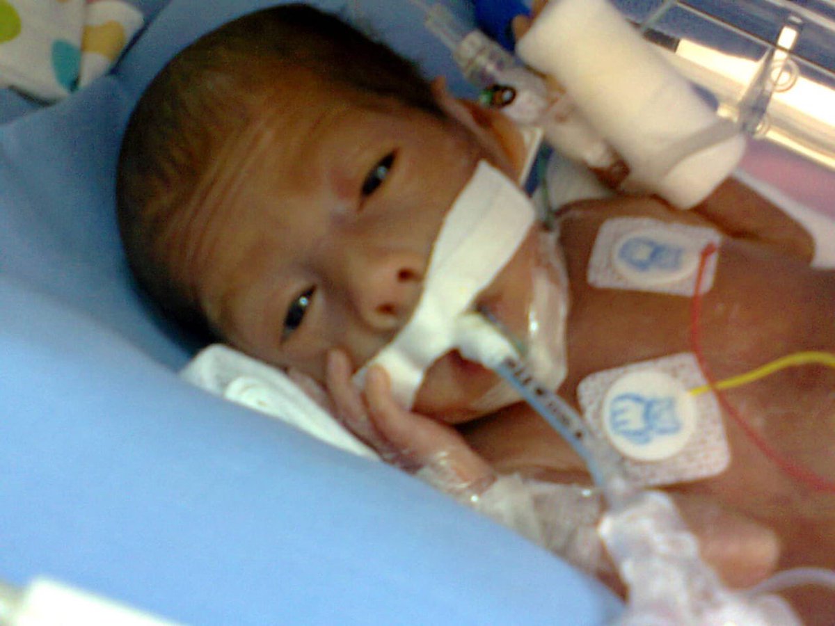 طلال المشعل tweet media