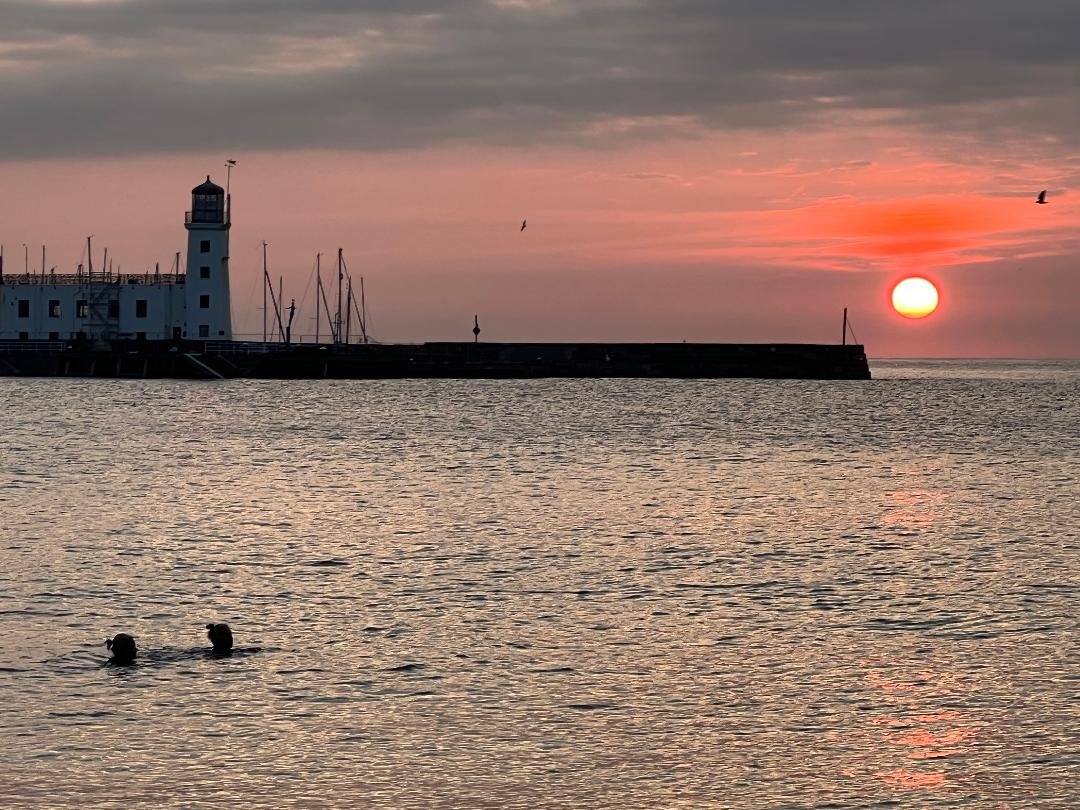 RivelynHotel's tweet photo. There is a few really low priced deals this weekend in Scarborough https://t.co/v2RmwTDmAK https://t.co/HiWH32V4l1