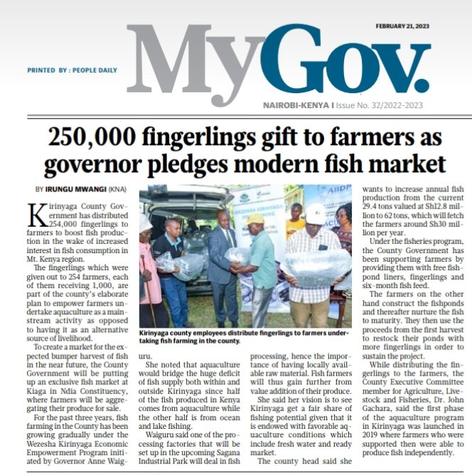 Fish farmers in kirinyaga expected to bumper harvest as  more fingerlings are distributed by governor Ann Mumbi Waiguru.
#wirawarie