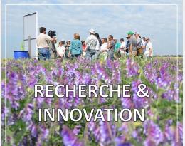 Vous êtes intéressé par les avancées de la recherche sur les alternatives aux pesticides ? ow.ly/x2A050MU2LQ Découvrez la base Recherche et Innovation qui rassemble les appels à projets et surtout, + de 500 projets d’expérimentation et les livrables associés <a href="/ACTA_asso/">Acta</a>