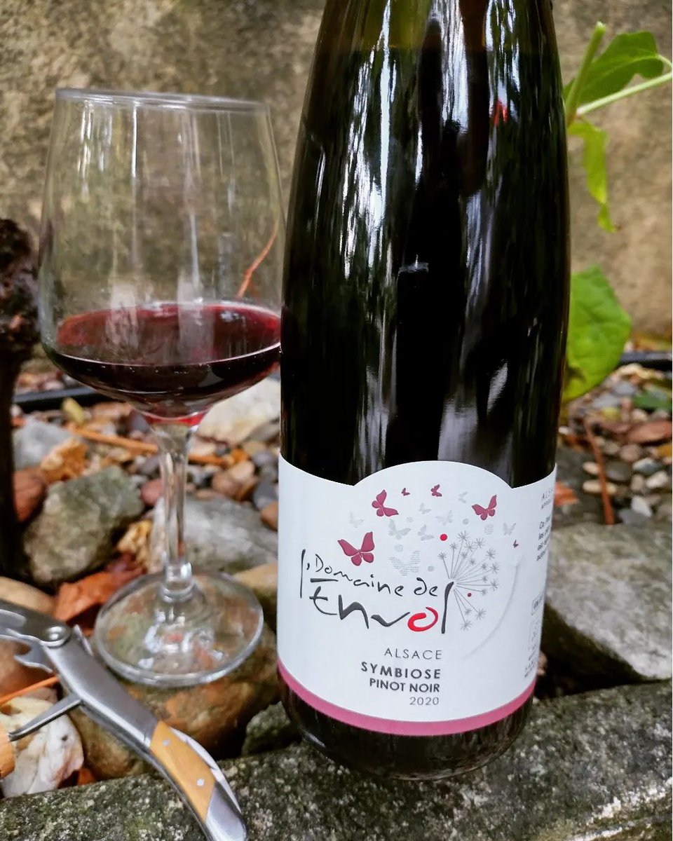 DomaineEnvol's tweet photo. Alsace is a region of white wines, but also of pinot noir. The Domaine produces two complex red wines and "Symbiose" is one of them #pinotnoirlovers #drinkalsace #alsacerocks #domainedelenvol #alsaceredwines #organic #biodynamics

(Photo : partage et vin) https://t.co/i9hrJAhMmH