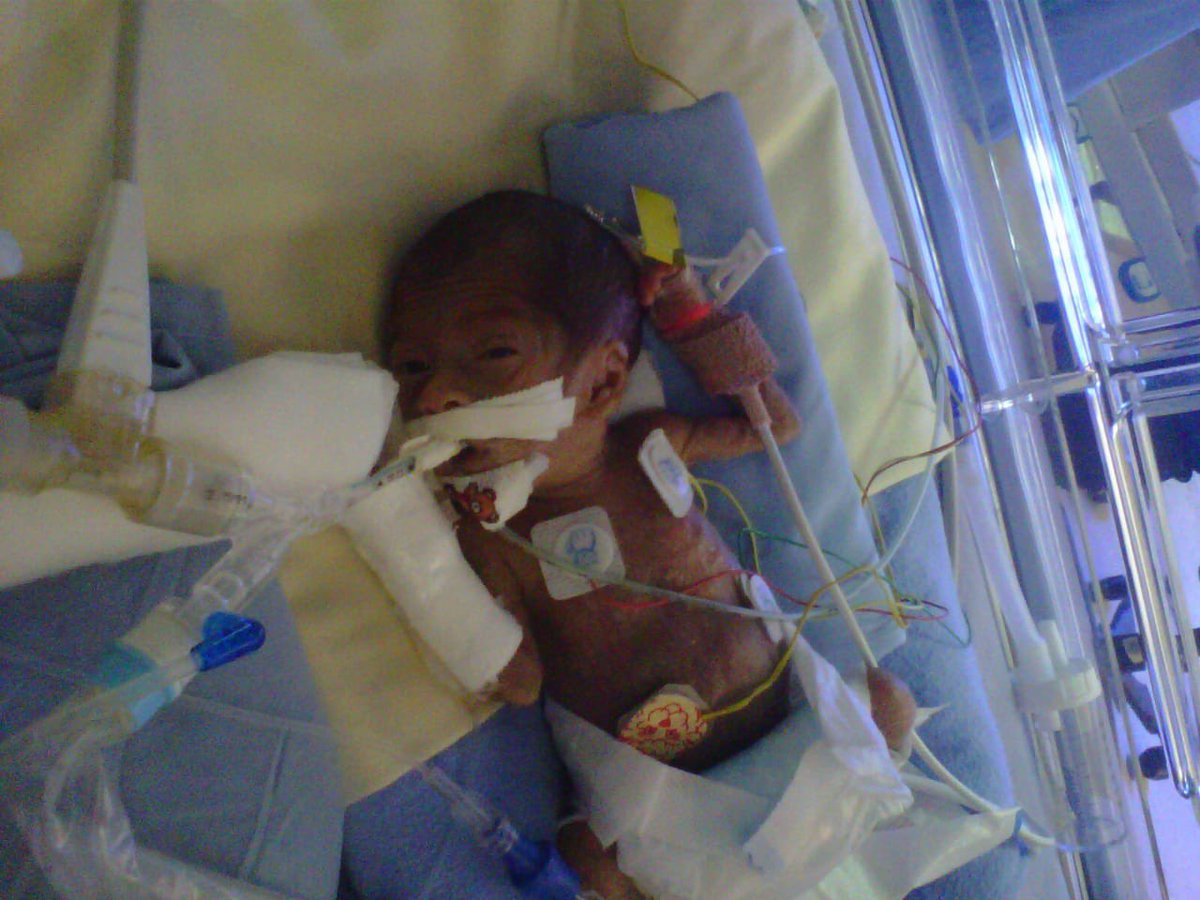 طلال المشعل tweet media