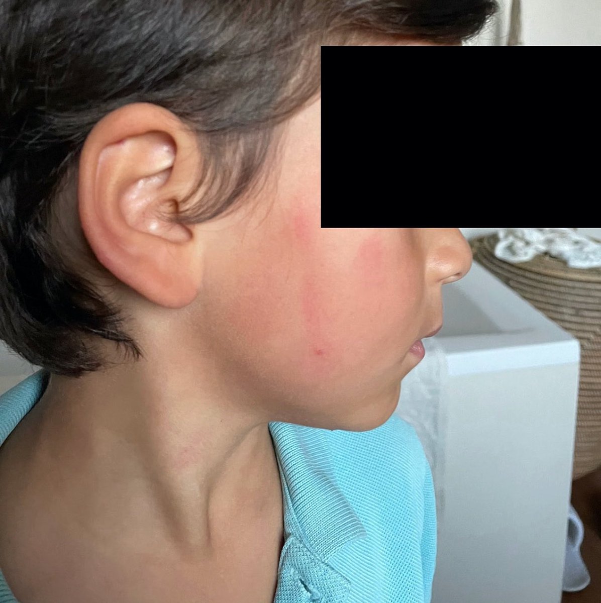 2/7 Dans un premier temps, mon ex-conjoint a reconnu les violences et a écopé d’un unique rappel à la loi, le 19 octobre 2021.⤵️

#JauraisFaitCommeElle 
#MeTooMereProtectrice 
#ProtegeonsLes4EnfantsDeSophie #MeTooInceste 
#PriscillaMajani