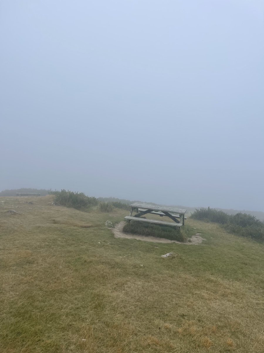 Jack Steer tweet media