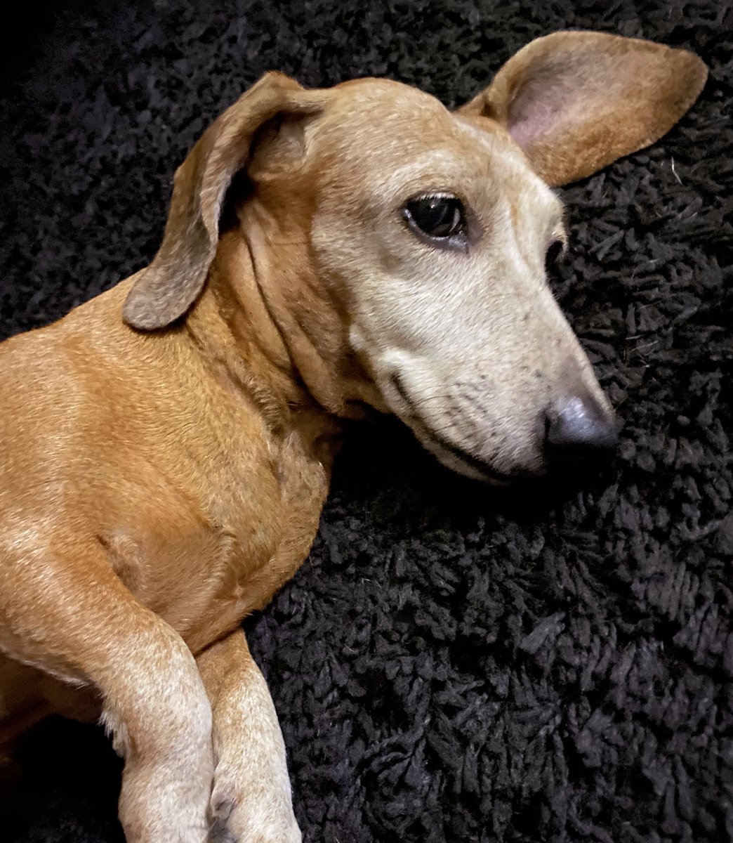 owlsoda's tweet image. Coffee is going to be 14 this year... 🧓☕️