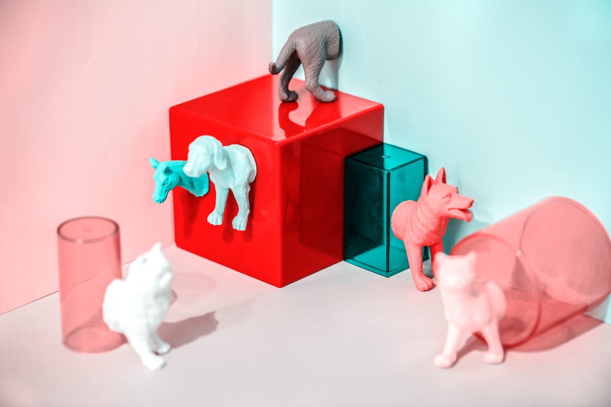 wag_zen's tweet photo. We're not your average pet store. In addition to quality furry friends products, we're diving into the exciting world of NFTs. Stay tuned for unique and one-of-a-kind pet-inspired digital assets that will take your love for your pets to the next level. #pets #NFTs #digitalassets https://t.co/NPAxwWCUMf