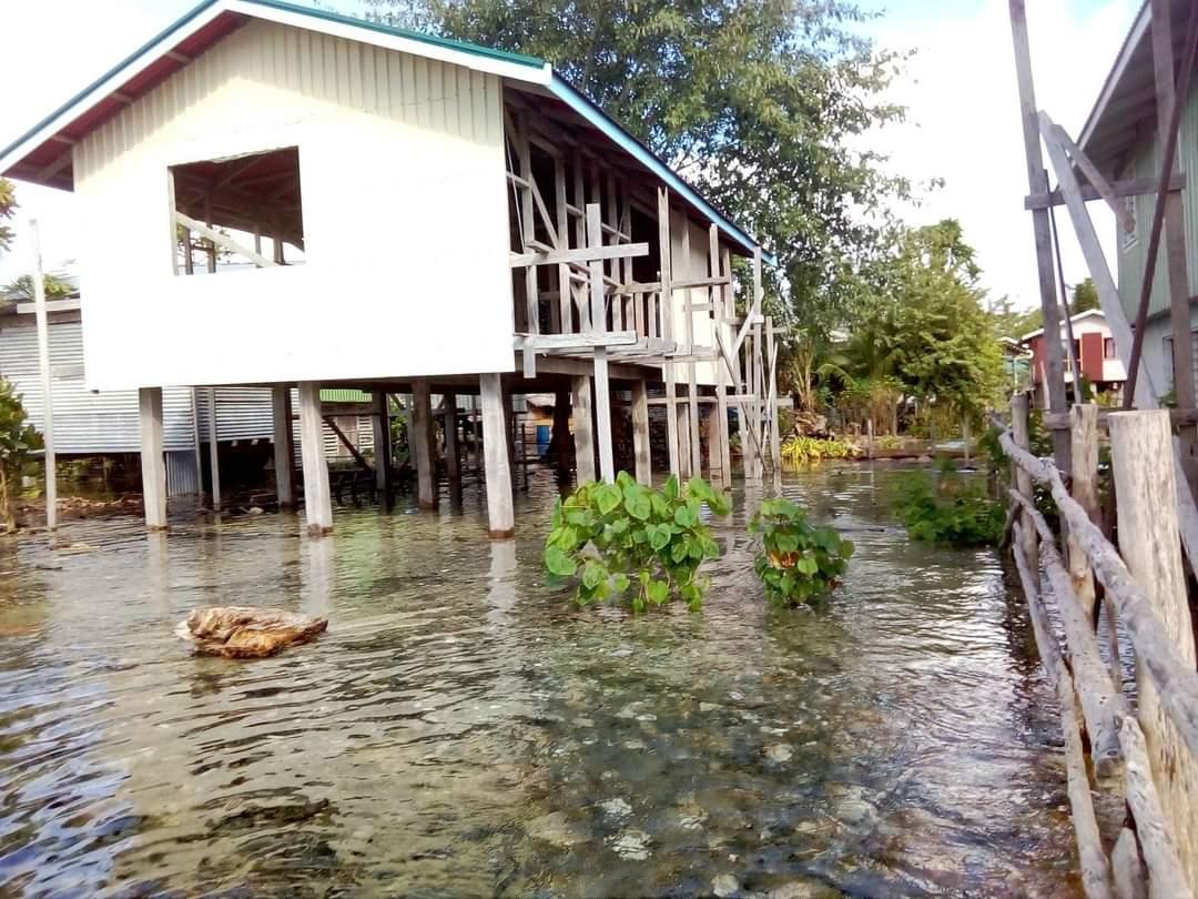 ronald_toitoona's tweet photo. OUR ISLANDS ARE SINKING|

These are photos taken yesterday on the devastation caused by rising sea level to my home Islands of Kwai &amp; Ngongosila, in the Eastern region of Malaita Province, Solomon Islands.

📸 Victor Suraniu Mafane https://t.co/lBOP5wPV1H