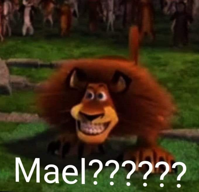 SenseiGoGo's tweet image. Gc players bouta riot if anything other than mael gets announced during the stream....