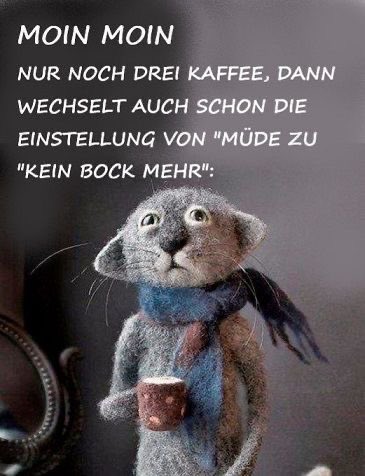 Moin zusammen 🥱☕️