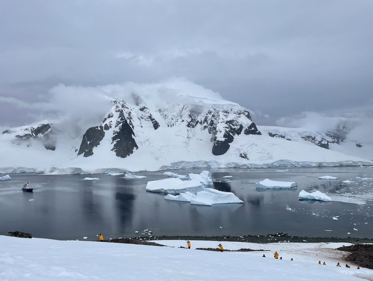 Dr Barbara Gale (@drbarbaragale) on Twitter photo Just trying to choose which photos to print to display at home. But none of them do justice to the majesty and awesome nature of the landscape <a href="/QuarkExpedition/">Quark Expeditions</a> #Antarctica Just trying to choose which photos to print to display at home. But none of them do justice to the majesty and awesome nature of the landscape <a href="/QuarkExpedition/">Quark Expeditions</a> #Antarctica