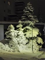 mir_lam's tweet photo. Iltakävelyllä kauniissa kotipuistossa.  Ilta pimenee yllättävän nopeasti vielä helmikuussa. Se on yksi vuorokauden rauhoittavimpia hetkiä!🌞🌛 https://t.co/ebotPnYRq8