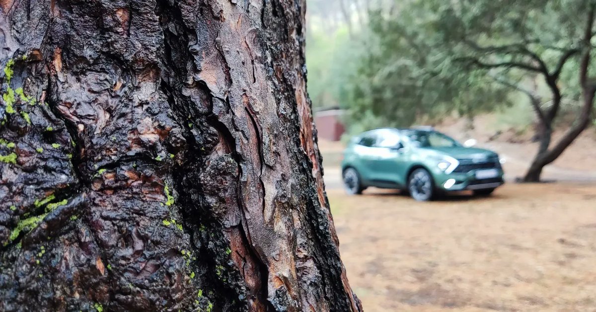 TechnoBokMedia's tweet photo. I must say, if you are looking for compliments, few vehicles draw anywhere near as many as the absolutely gorgeous new Sportage. The new @KiaSouthAfrica Kia Sportage GT Line looks sensational inside and out 😍
.
.
#Kia #KiaSportage #ClassLeader #Style #Korea #carsofinstagram https://t.co/zsUVenPUii