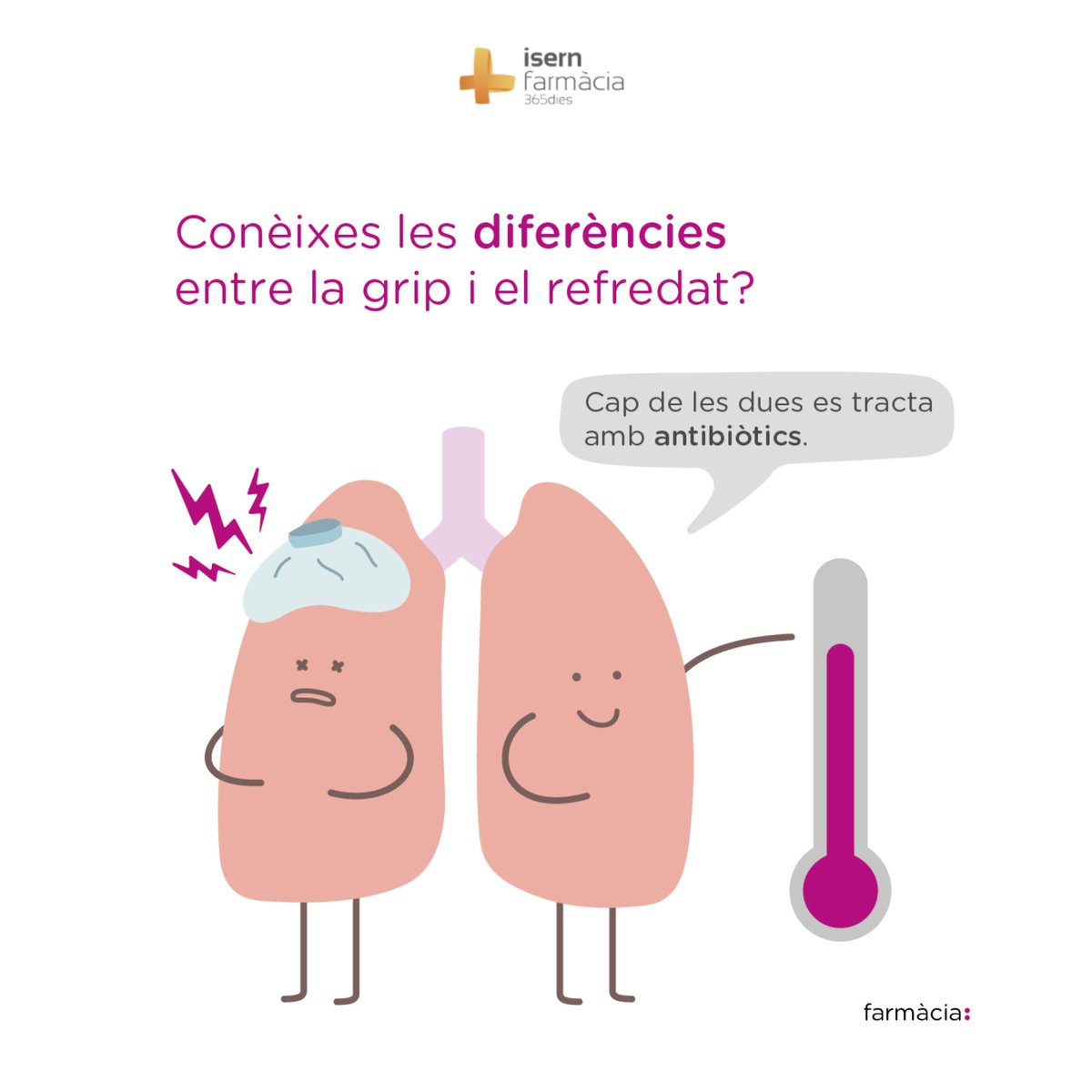 FarmaciaIsern's tweet photo. Coneixes les diferències entre #grip i #refredat? 🤧 Ambdós són infeccions víriques i, per tant, no es tracten amb #antibiòtics (sempre i quan no presentin sobreinfeccions bacterianes) 💊🦠 Vols alleugerir els símptomes? Apropa’t a la #farmàcia! https://t.co/8XGh7CTnzV