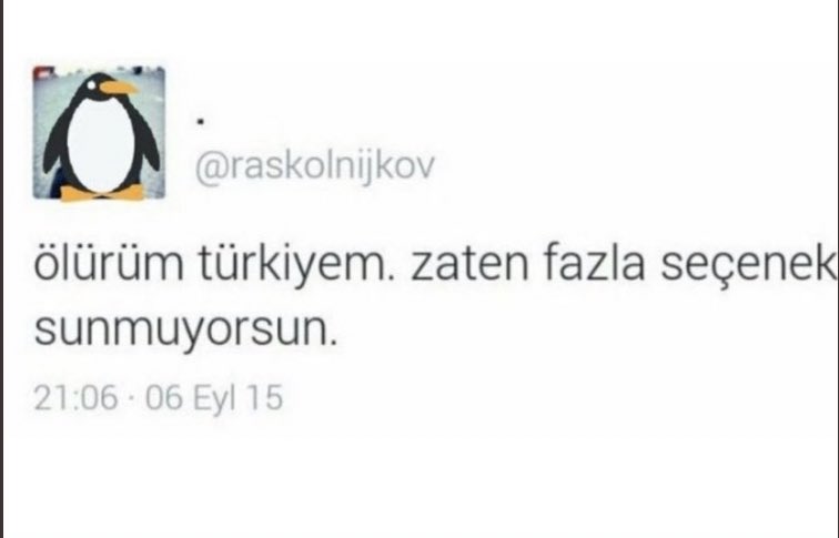 mutlu tweet media