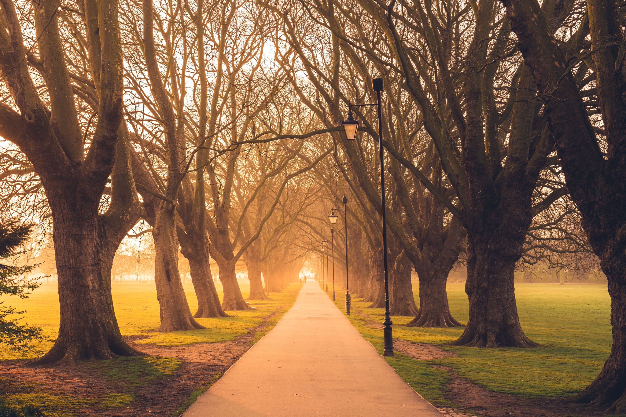 Natural England on Twitter: "Natural light can boost your mood and ...