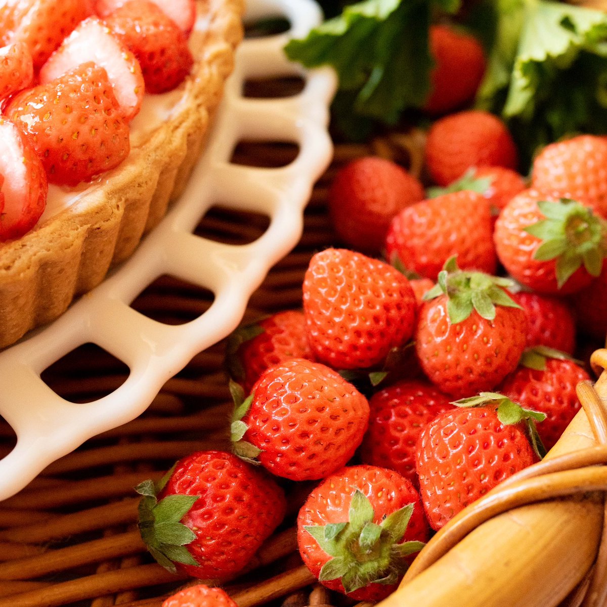quilfaitbon1991's tweet photo. 桃の節句におすすめ♪
静岡県産 “桃薫(とうくん)”のタルト🍓

その名の通りまるで桃のような甘い香りが特徴のイチゴ“#桃薫”をたっぷり使用しました。
タルト一面に広がる淡いピンク色がかわいらしいタルトです。

#キルフェボン https://t.co/NfY33uaX75
