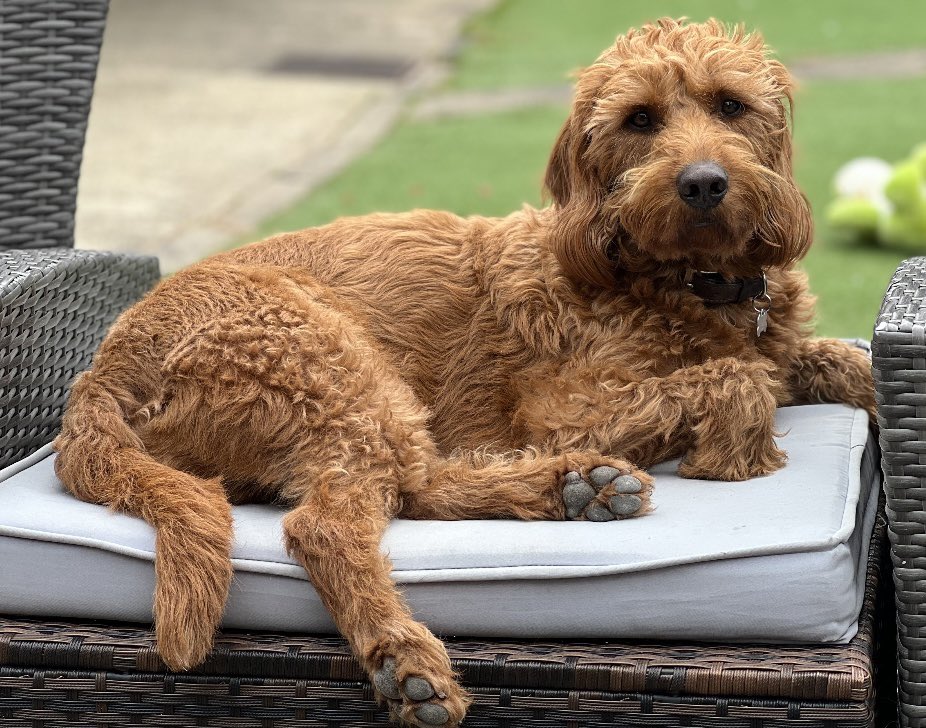 WAYNE MARDLE tweet media