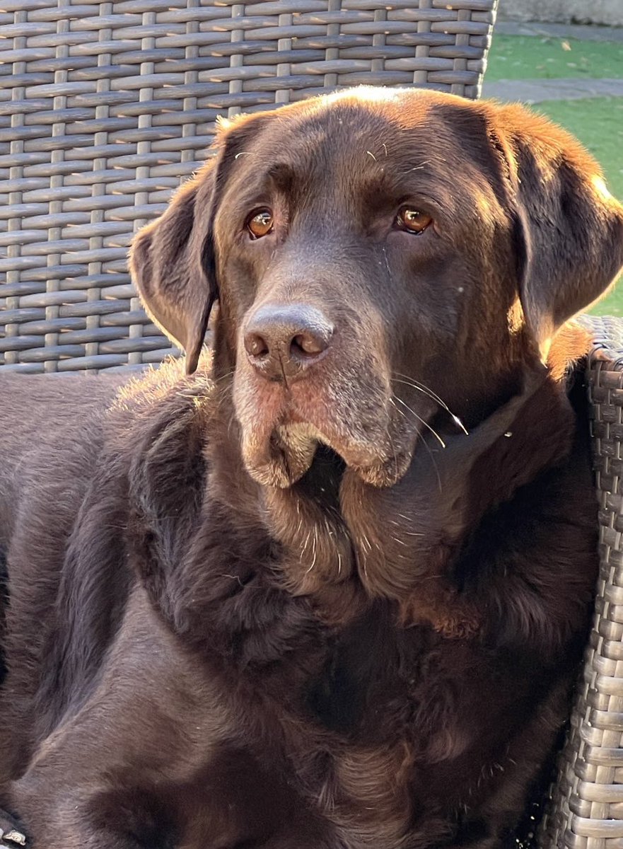 WAYNE MARDLE tweet media