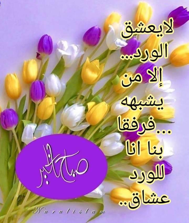 Abdou🇩🇿 (@abdou66151730) on Twitter photo 