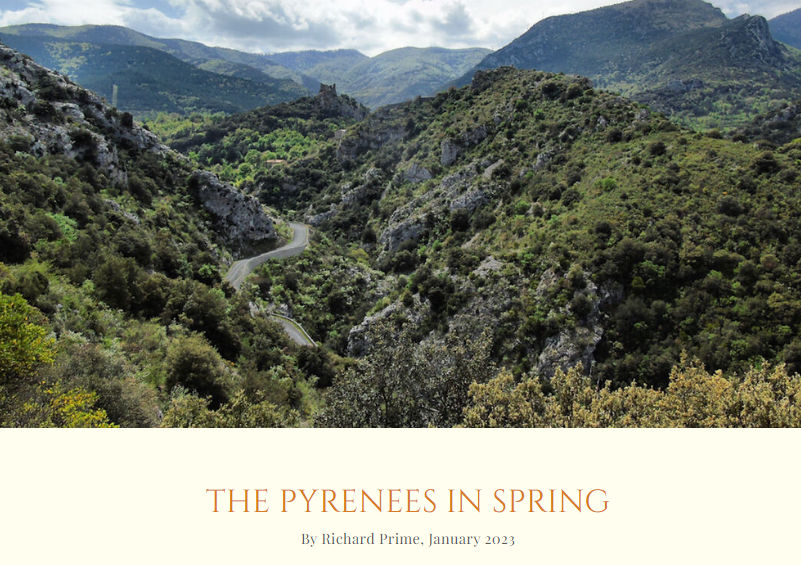 PyreneesPrime's tweet image. Some fascinating reasons why you should consider the #Pyrenees for a #spring break. 

There is a brief intro About Us followed by a #nature #migration escape route narrative. 

#travel #France #writing #holiday 

@VoyageOccitanie 

⭐️simply-gascony.co.uk/mountains-to-m…⭐️