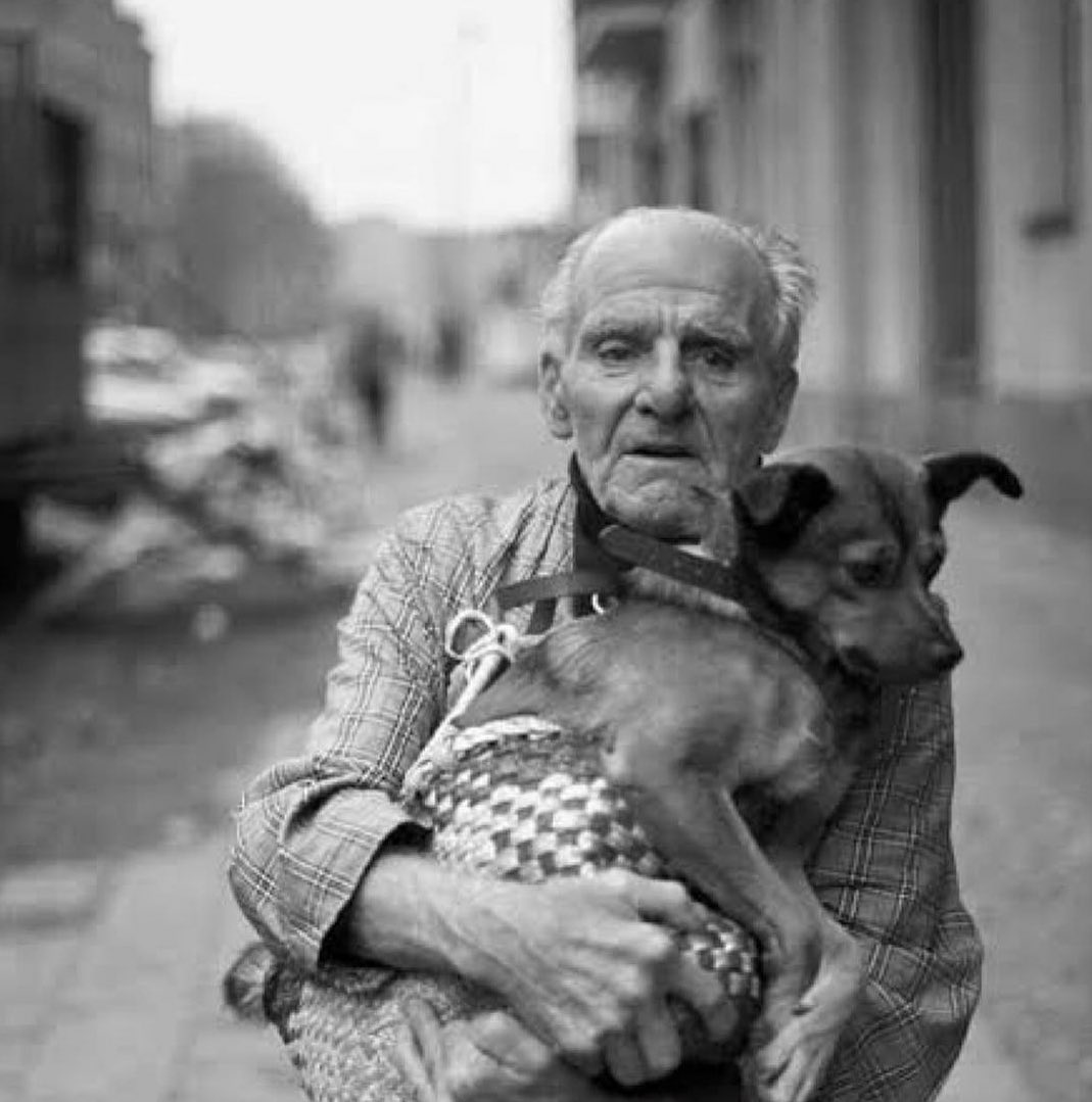 Старик и собака. Пожилые люди и животные. Старики и животные. Старая собака.