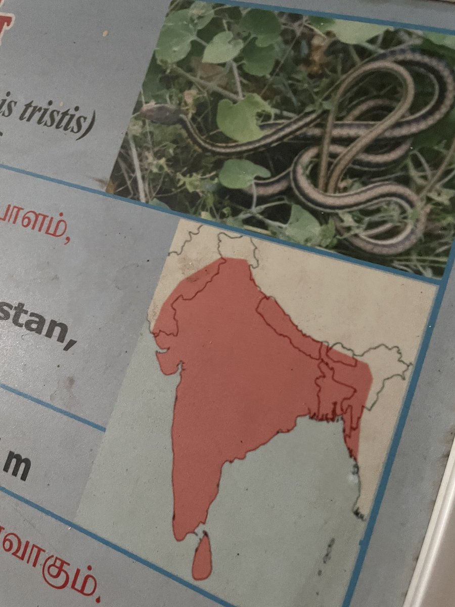 piyushnarang_'s tweet image. Here at Chennai snake park, the Indian map is wrong at almost all places. @PMOIndia @narendramodi @PIBHomeAffairs @mkstalin #wrongmap