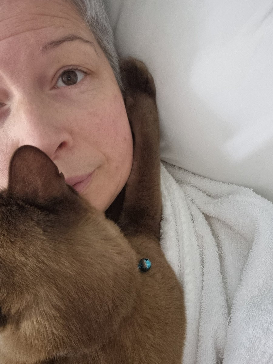 #LoveYourPetDay you say? He's all over it.