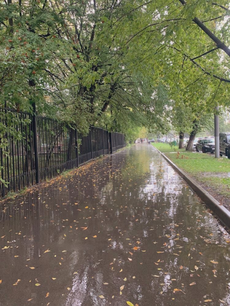 gIoomyweather's tweet photo. rainy days. https://t.co/S6UN453Ewp