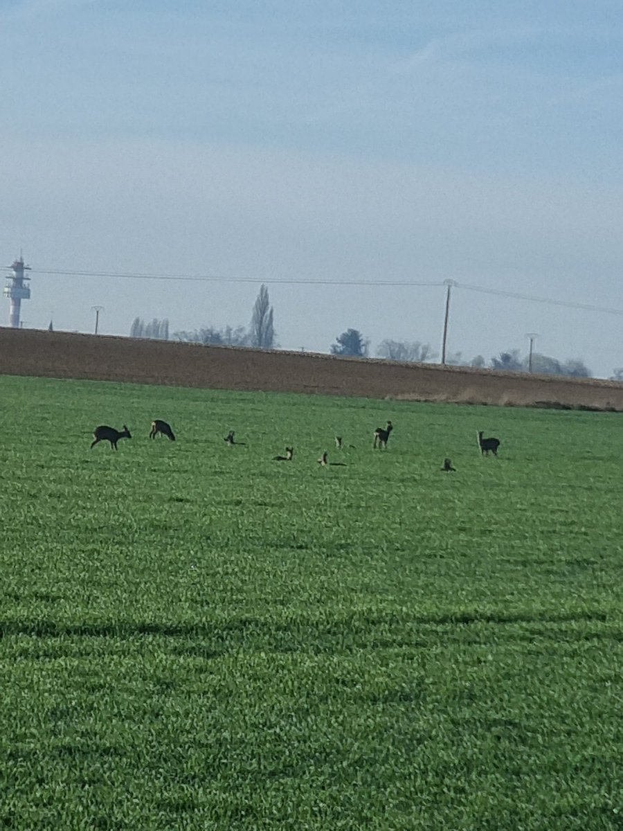 Alex Ver (@alexver1077) on Twitter photo 