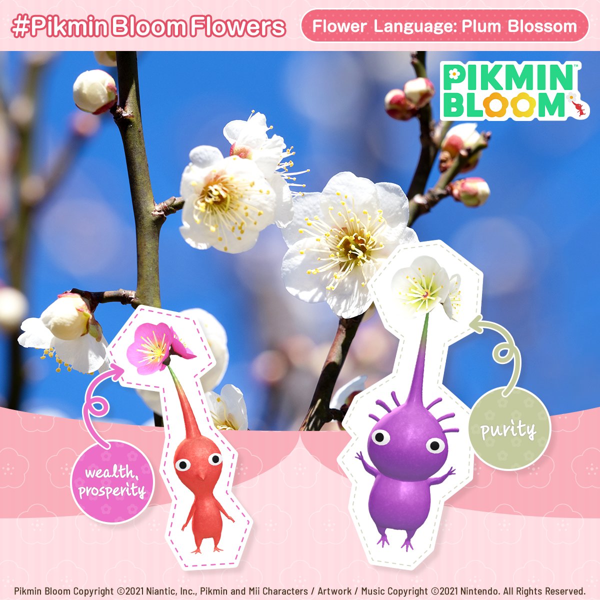 Partially Frequent Pikmin Facts on Twitter "RT PikminBloom 