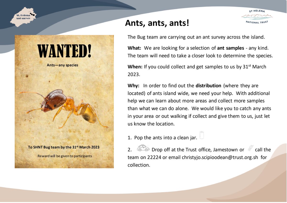 We'd love your help! 😀🐜  #CitizenScience

@Darwininitiative
#StHelenaIsland #InvasiveSpecies #ants