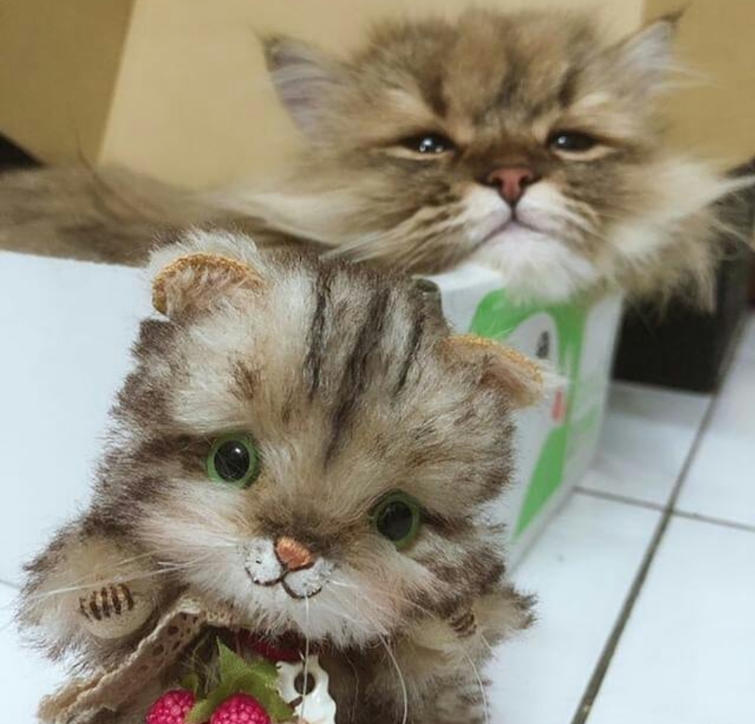 pechat_jp's tweet photo. @otd_yuka_k どのぬいぐるみも、大きさは12cmほどで小さめ。
かばんの中に「ぽん！」と入れて一緒にお出かけできます。

ペットのぬいぐるみをオーダーすることも可能。
写真から、本物そっくりのぬいぐるみを作ってもらうことができます。

#ぬいぐるみ作家さん紹介 https://t.co/0RGXbhVgmN