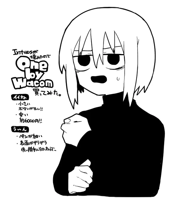 3万のペンタブが壊れたので6000円のペンタブを買った感想 
