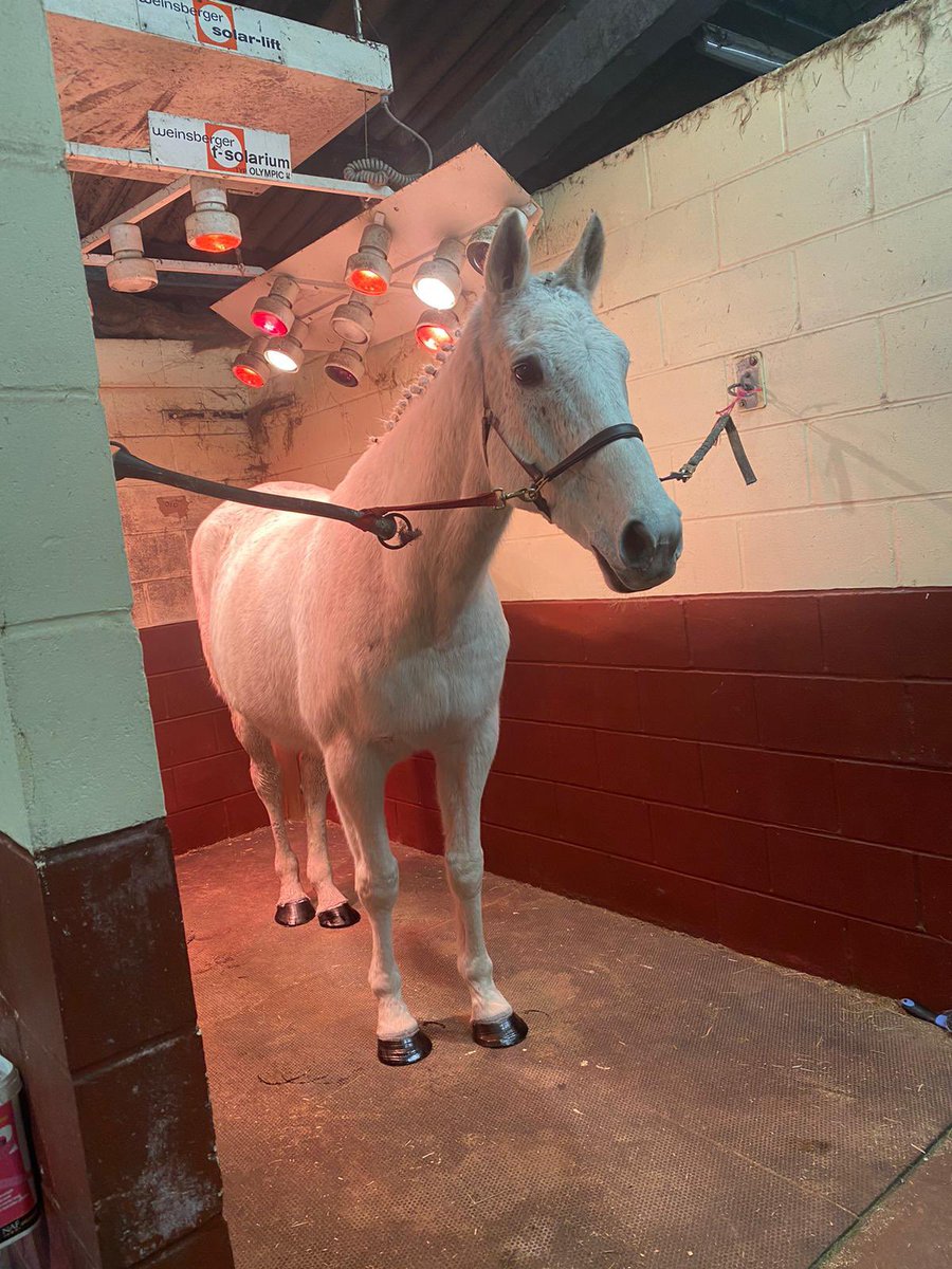 Shawfarmstud tweet media