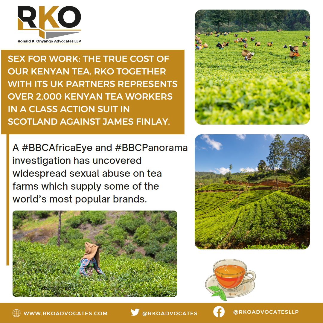 RKOnyango's tweet photo. RKO represent over 2,000 Kenyan tea workers in a class action lawsuit in Scotland against James Finlay, a UK multinational supplying  UK's top brands like Tesco, Sainsbury and Starbucks. 

Link 1 BBC Panorama: https://t.co/OUkahxgc5e
Link 2 BBC AfricaEye: https://t.co/axFAAjmUuW https://t.co/r3hUqirTj5