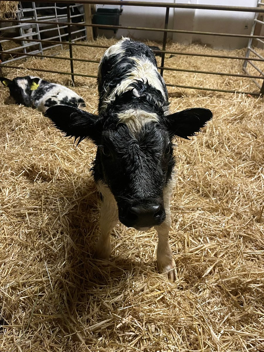 Caitlin Jones tweet media