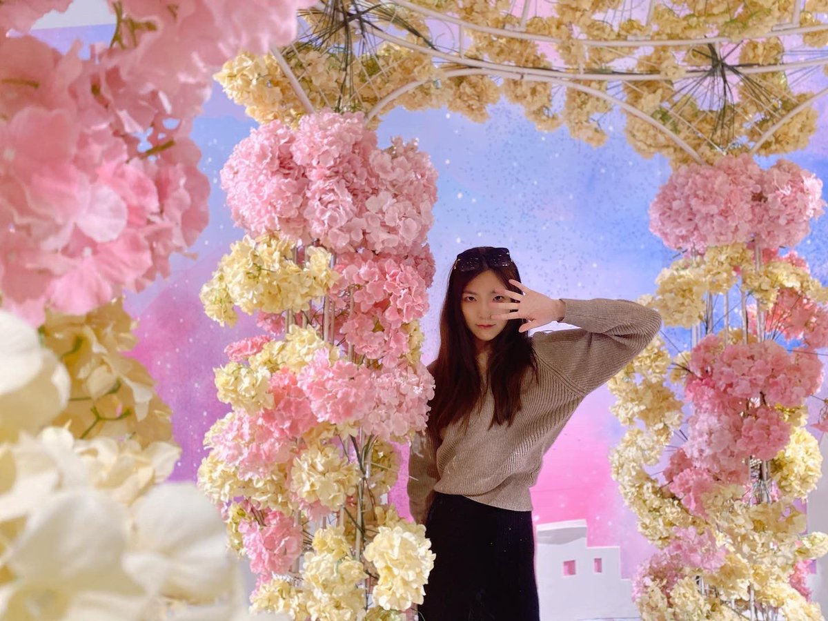 AAAAAAmy_LBW's tweet image. 🌸
#flowers #flowerbackground #beautiful #pink #pinkflowers #girl #chinesegirl