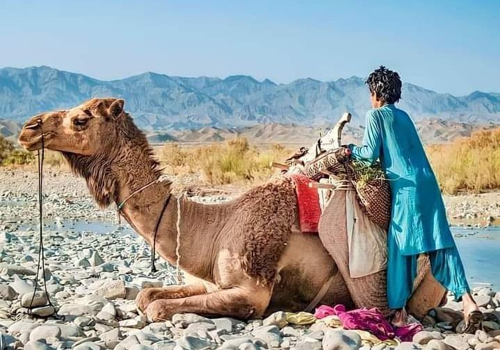 Beautiful picture of Kaachho, Kheerthar hills, Dadu

Taken by Imam Bux Gadehi

#Dadu #DadutimesTv #photography