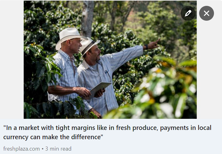StoneX Global Payments (@stonex_fingmbh) on Twitter photo In the current <a href="/FreshPlaza_com/">FreshPlaza</a> article, Jerome de Graaf explains why "In a market with tight margins like in fresh produce, payments in local currency can make the difference"
Read more: freshplaza.com/north-america/…
#stonex #global #payments #currency #market #margins #treasury In the current <a href="/FreshPlaza_com/">FreshPlaza</a> article, Jerome de Graaf explains why "In a market with tight margins like in fresh produce, payments in local currency can make the difference"
Read more: freshplaza.com/north-america/…
#stonex #global #payments #currency #market #margins #treasury