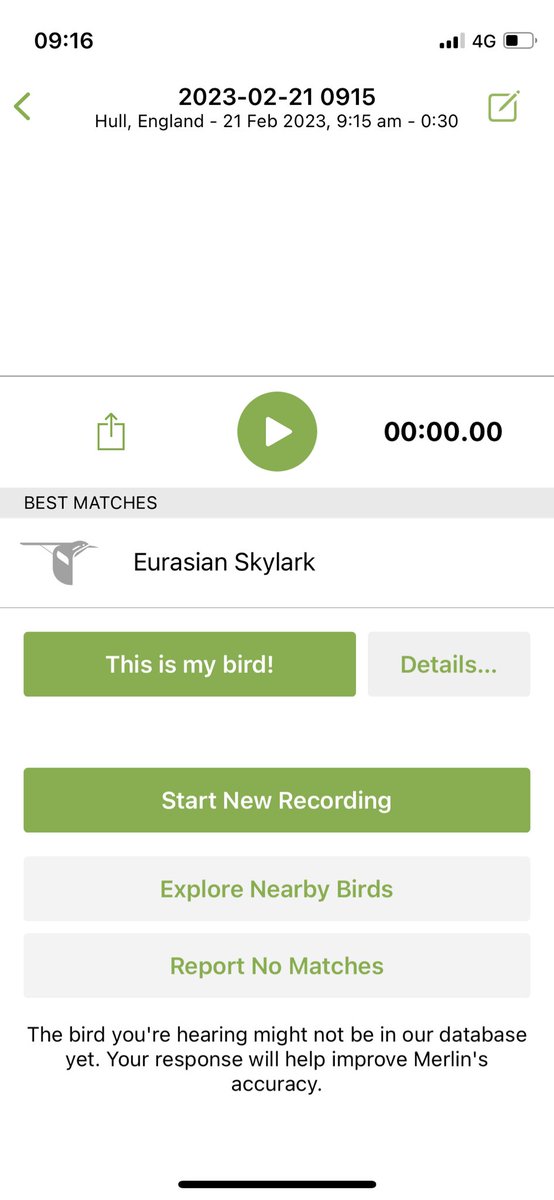 Skylarks everywhere this morning!