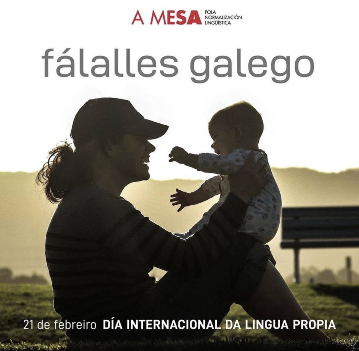 A conciencia da importancia da crianza para reverter a situación do galego aumenta. 

A pesar dun contexto social onde a exclusión do noso idioma permanece no sistema educativo, no lecer, na socialización, audiovisuais... en practicamente todas as influencias externas á familiar.