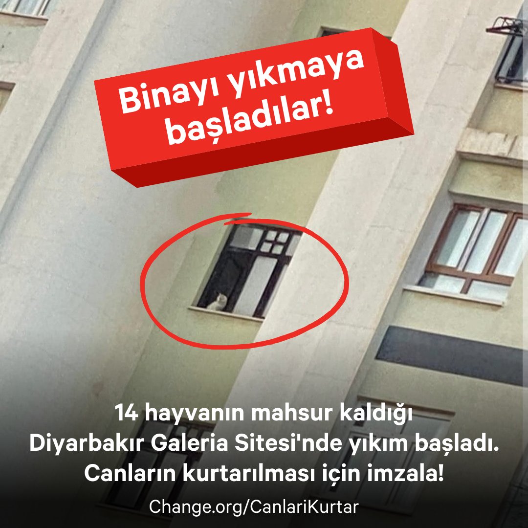 ChangeTR's tweet photo. 15 gündür kurtarılmayı beklediler; 
ama kurtarmak yerine bina yıkılıyor.

Sosyal medyada binanın yıkımına başlandığı bilgisi paylaşılıyor.
#galeriakurtarılmayıbekliyor 

İçeride 12 kedi, 1 köpek ve 1 kuş olduğu belirtiliyor.

Canlar için imzala, paylaş:
✍️ https://t.co/FvxlmDZdTj https://t.co/nMXVuu8P3q