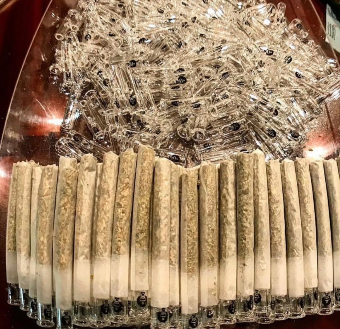 Dav_weed's tweet photo. Prep game is essential!! Never roll without Phuncky Feel tips!! https://t.co/EH0pV6Ddwu