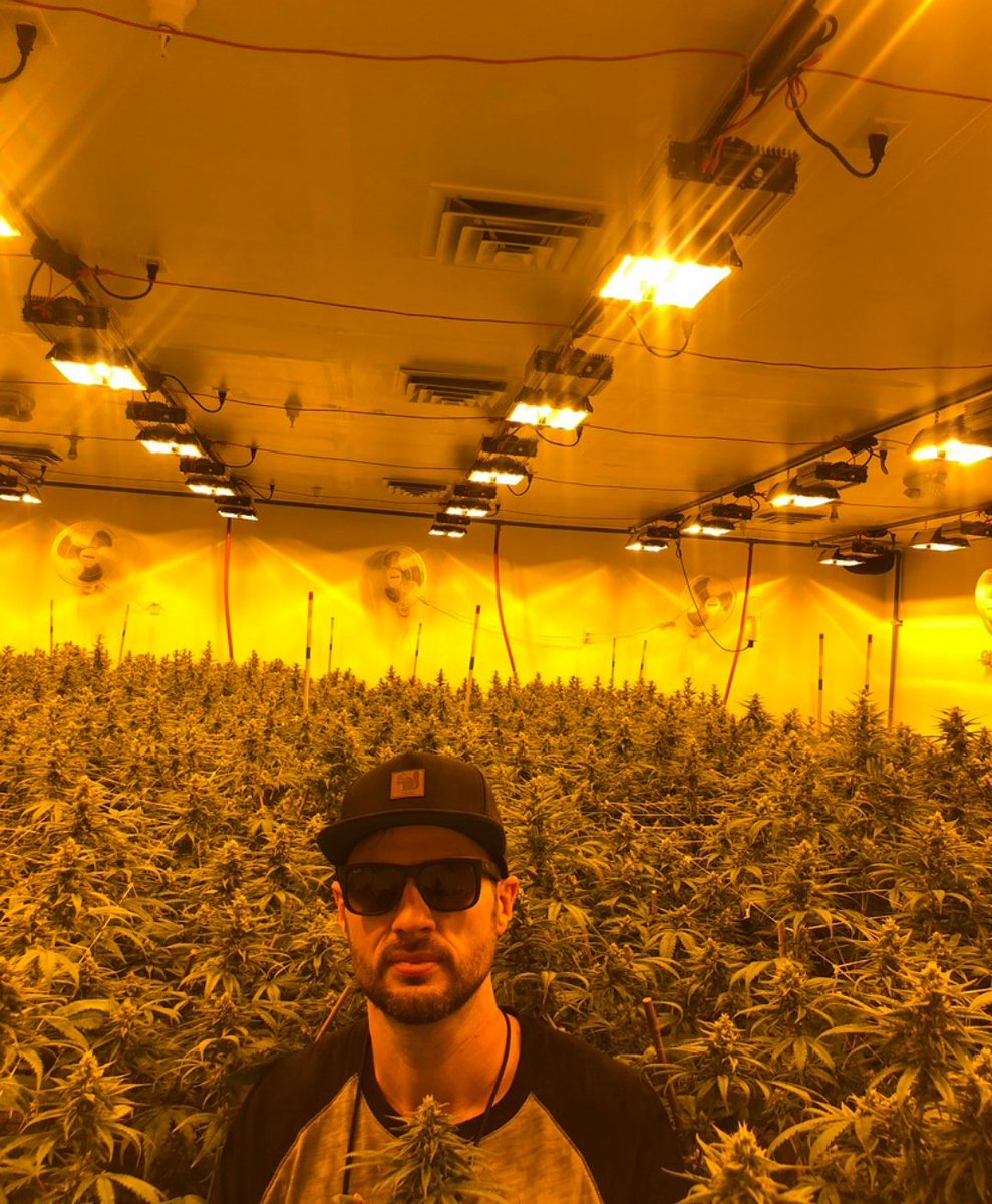 Dav_weed's tweet photo. I might’ve been a plant in my past life! 🪴😂 https://t.co/D2u4Z4sY7j