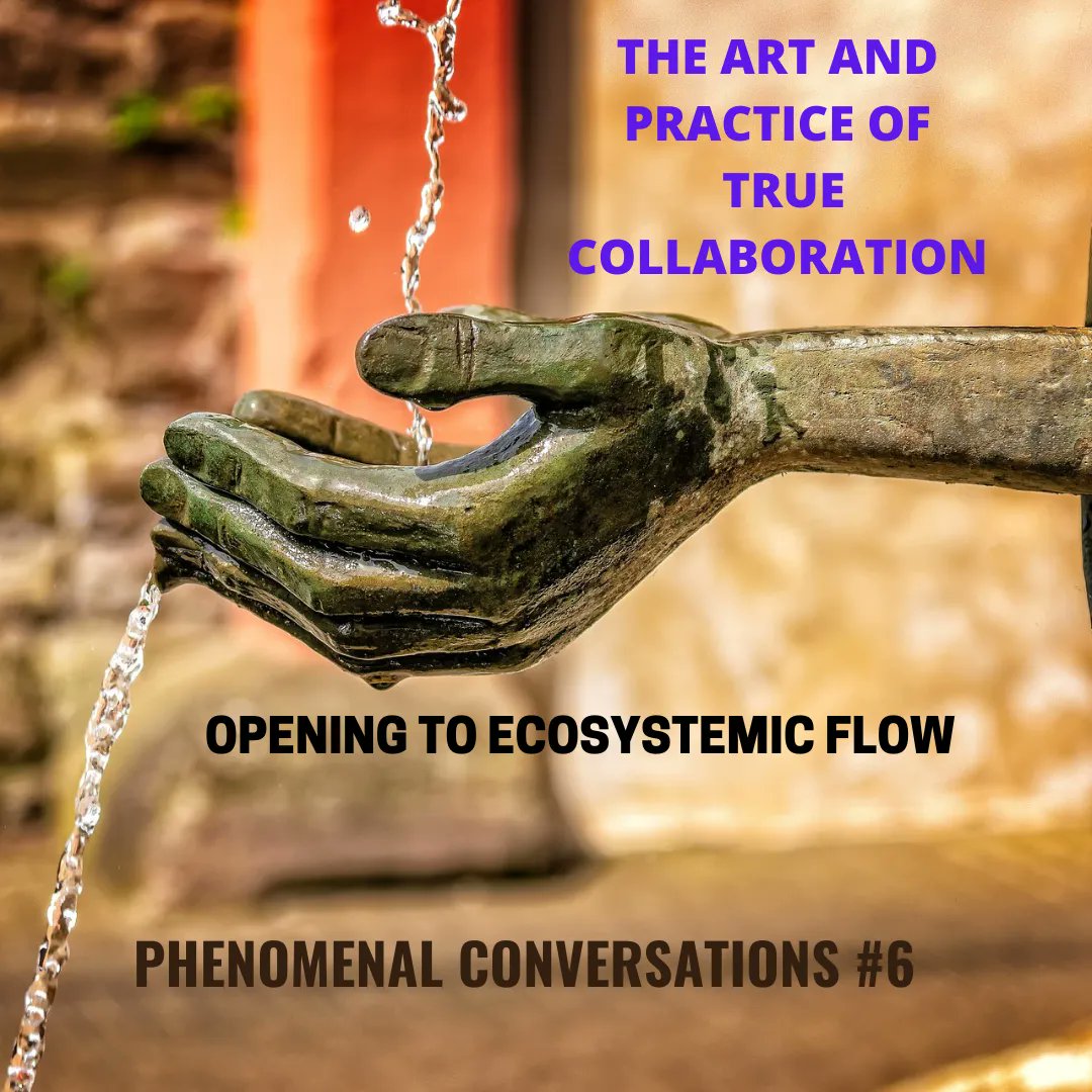 Phenomenal Conversation#6 <a href="/robmwhit/">Robyn Whittaker</a> will share about the flow of energy in educational  ecosystems in RSA. How paying attention to flow not parts, enhances the health of the system NEXT Tuesday 28th Feb online 7.00pm CET buff.ly/3Km2yqf