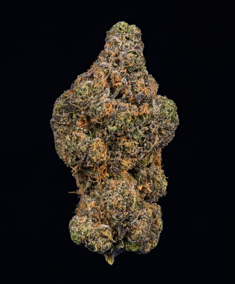 Dav_weed's tweet photo. limited { Velvetz } coming soon to Cali stores 💨💨💨 this is Gary x Zkittlez . https://t.co/yVuTbHXnpg