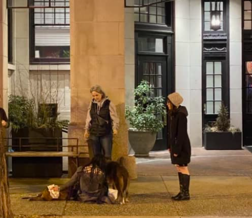 NotYourAvgBliss's tweet photo. #corruptFBI #jacquelinemaguire #dogkiller #justiceforMia
Jacqueline Maguire #fbiphiladelphia shot and killed a pet dog tonight. The owner is sitting with the critically injured dog while Maquire stands there unaffected seemingly. https://t.co/zAHZBF2a2n